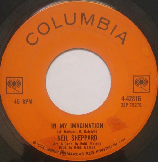 Neil Sheppard - In My Imagination (7", Single) (Near Mint (NM or M-))