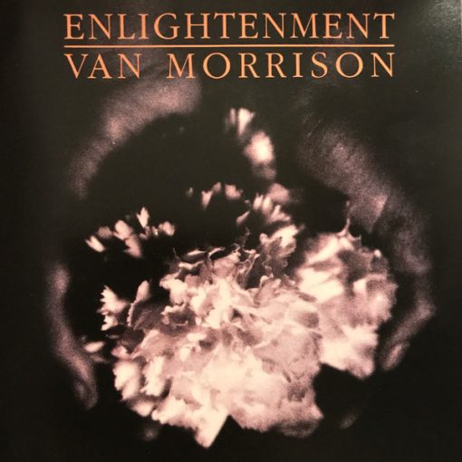 Van Morrison - Enlightenment (CD, Album) (Near Mint (NM or M-))