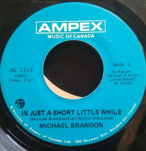 Michael Brandon (3) - In Just A Short Little While (7", Single) (Very Good Plus (VG+))