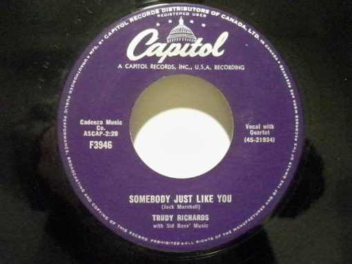 Trudy Richards - Somebody Just Like You (7", Single) (Very Good (VG))