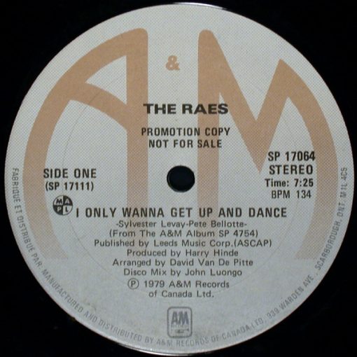 The Raes - I Only Wanna Get Up And Dance (12", Promo) (Mint (M))