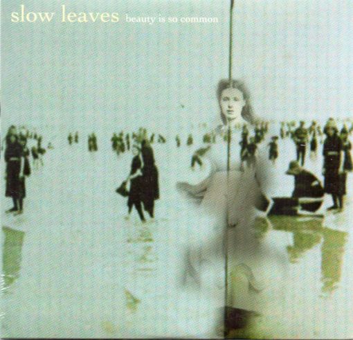 Slow Leaves - Beauty Is So Common (CDr, Album) (Near Mint (NM or M-))