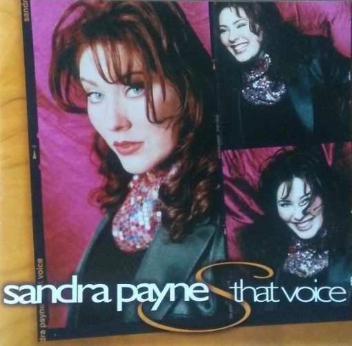 Sandra Payne - That Voice (CD, Album) (Mint (M))