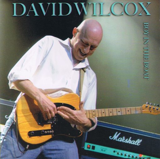 David Wilcox (2) - Boy In The Boat (CD, Album) (Near Mint (NM or M-))