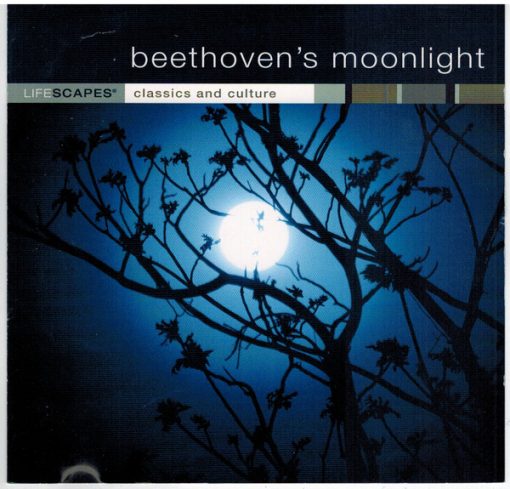 Wayne Jones (2), Amy Hayashi-Jones - Beethoven's Moonlight (CD, Album, RE) (Mint (M))