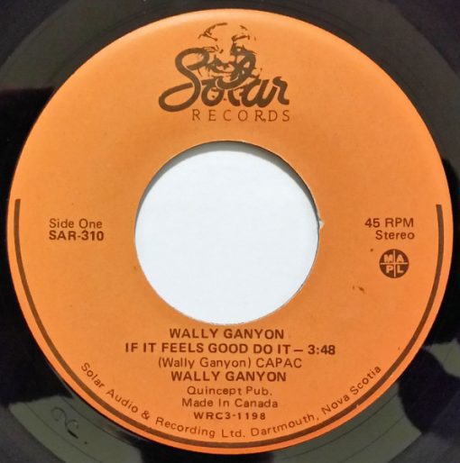 Wally Ganyon - If It Feels Good Do It / The Assassination Of Disco Duck (7", Single) (Very Good Plus (VG+))