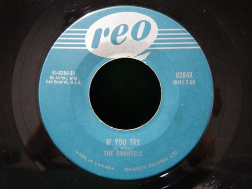 The Chantels - If You Try / Congratulations (7", Single) (Very Good Plus (VG+))