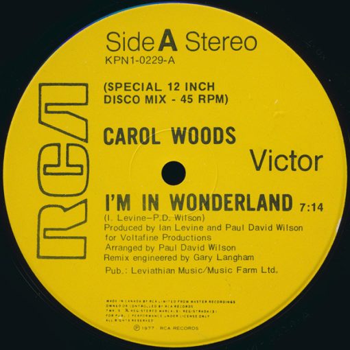 Carol Woods - I'm In Wonderland (12") (Mint (M))