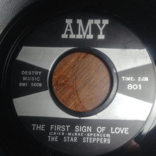 The Star Steppers - You're Gone / First Sign Of Love (7") (Very Good Plus (VG+))