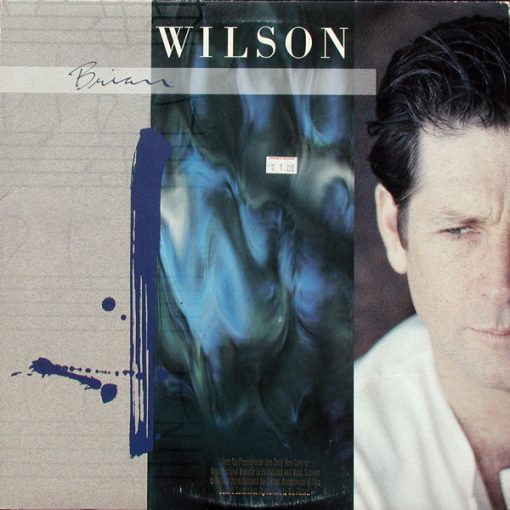 Brian Wilson - Brian Wilson (LP, Album, Spe) (Mint (M))