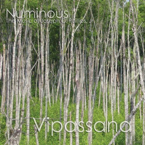 Numinous (2) - Vipassana (CD, Album) (Near Mint (NM or M-))