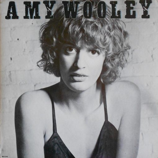 Amy Wooley - Amy Wooley (LP, Album, Glo) (Mint (M))