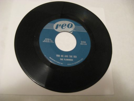 The Flamingos - You, Me And The Sea / Nobody Loves Me Like You (7", Single) (Near Mint (NM or M-))