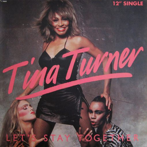 Tina Turner - Let's Stay Together (12") (Mint (M))