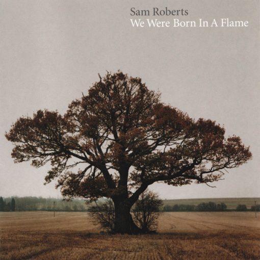 Sam Roberts - We Were Born In A Flame (CD, Album) (Near Mint (NM or M-))