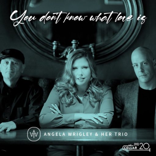 Angela Wrigley Trio - You Don't Know What Love Is (CD, Album) (Mint (M))