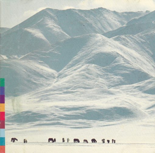 Shu-De - Voices From The Distant Steppe (CD, Album) (Near Mint (NM or M-))