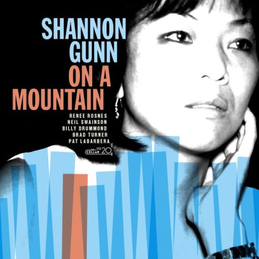 Shannon Gunn - On A Mountain (CD) (Mint (M))