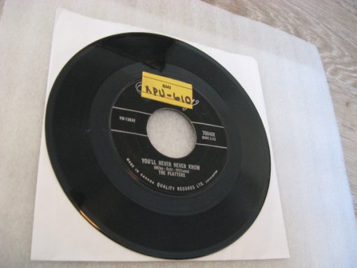 The Platters - You'll Never Never Know / It Isn't Right (7", Single) (Near Mint (NM or M-))