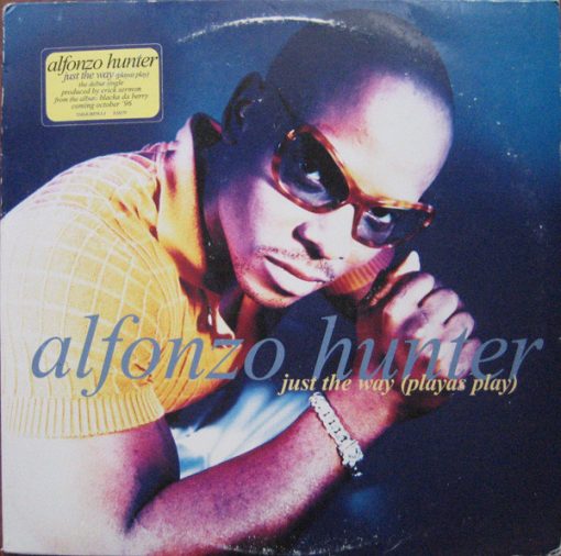 Alfonzo Hunter - Just The Way (12", Single) (Mint (M))