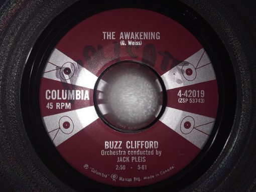 Buzz Clifford - I'll Never Forget / The Awakening (7") (Very Good Plus (VG+))