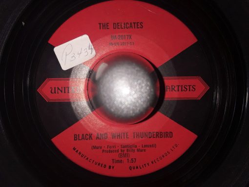 The Delicates (2) - Black And White Thunderbird / Ronnie Is My Lover (7", Single) (Very Good Plus (VG+))