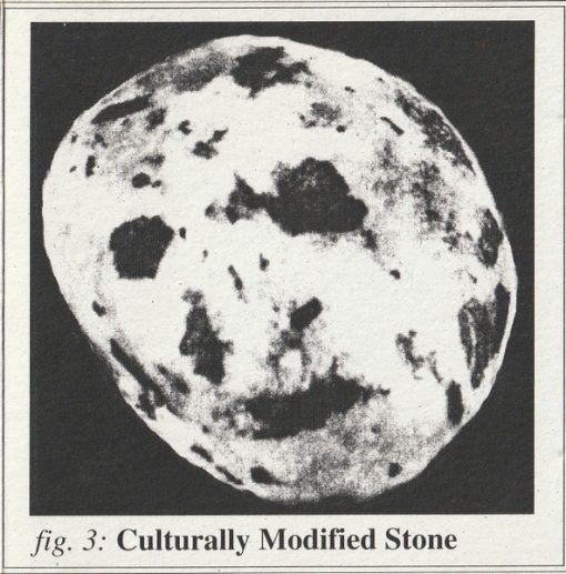 N'Goma - Culturally Modified Stone (CD, Album) (Near Mint (NM or M-))