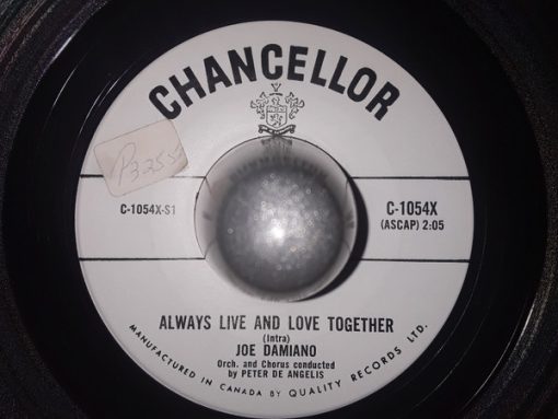 Joe Damiano - Always Live And Love Together / Bolero (7") (Very Good Plus (VG+))