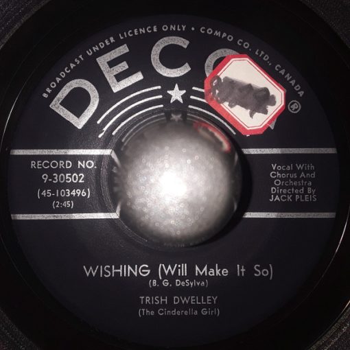 Trish Dwelley - Wishing (Will Make It So) (7") (Very Good Plus (VG+))