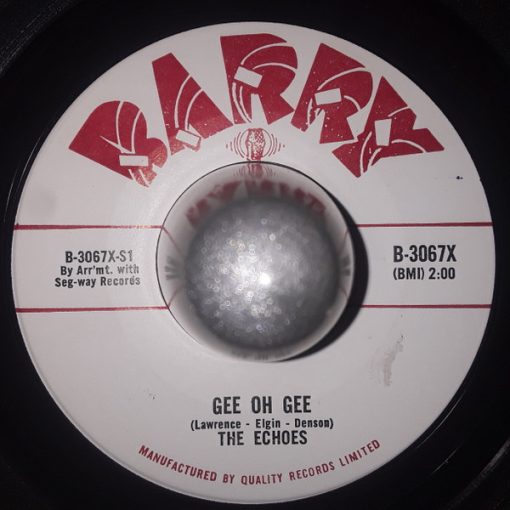 The Echoes (2) - Gee Oh Gee / Angel Of My Heart (7", Single) (Very Good Plus (VG+))