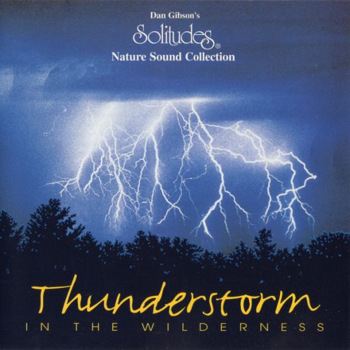 Dan Gibson - Thunderstorm In The Wilderness (CD, Album) (Near Mint (NM or M-))