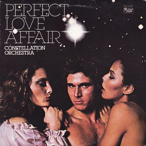 Constellation Orchestra - Perfect Love Affair (LP, Album) (Mint (M))