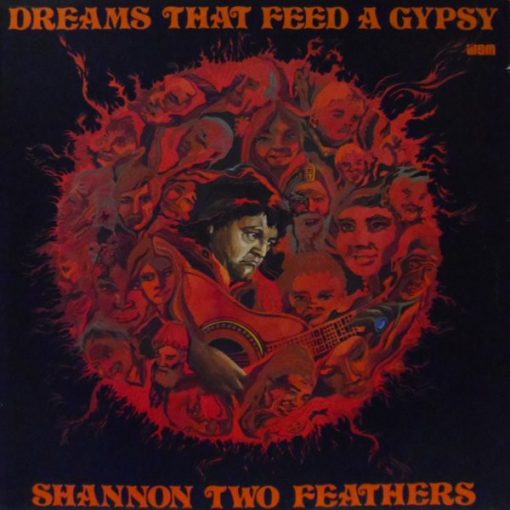 Shannon Two Feathers - Dreams That Feed A Gypsy (LP) (Mint (M))