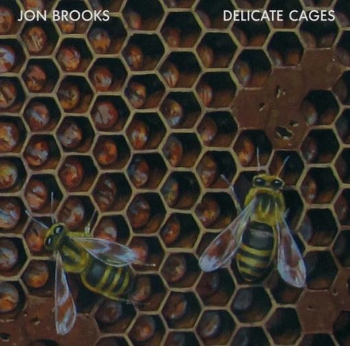 Jon Brooks (6) - Delicate Cages (CD, Album) (Near Mint (NM or M-))