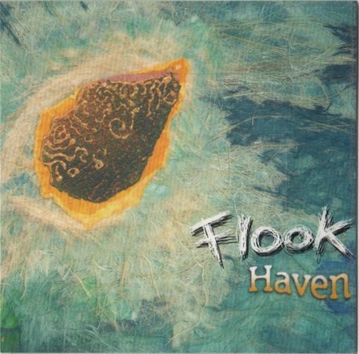 Flook - Haven (CD, Album) (Near Mint (NM or M-))