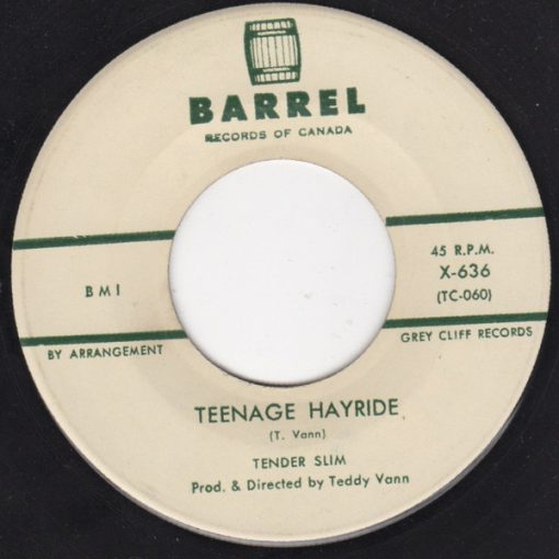 Tender Slim - Teenage Hayride (7") (Very Good (VG))