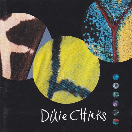 Dixie Chicks - Fly (HDCD, Album) (Near Mint (NM or M-))