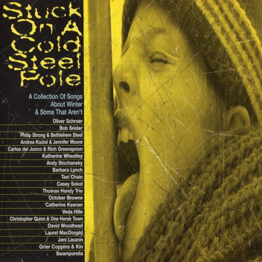 Various - Stuck On A Cold Steel Pole (CD, Comp) (Near Mint (NM or M-))