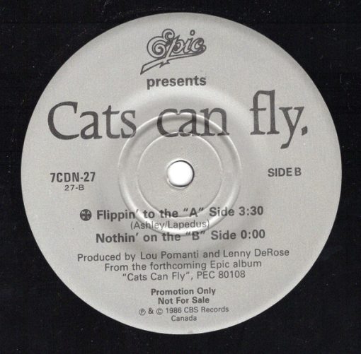 Cats Can Fly - Cold Hands, Warm Heart (2x7", Promo) (Near Mint (NM or M-))