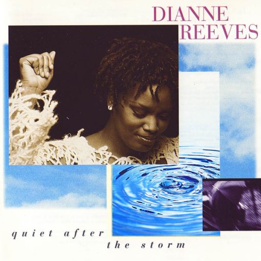 Dianne Reeves - Quiet After The Storm (CD, Album) (Near Mint (NM or M-))