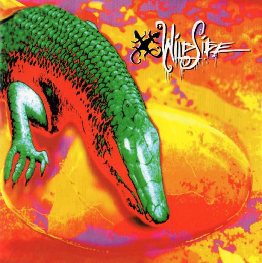 Wildside (2) - Wildside (CD, Album) (Near Mint (NM or M-))