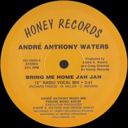 Andre Anthony Waters - Bring Me Home Jah Jah (12") (Mint (M))