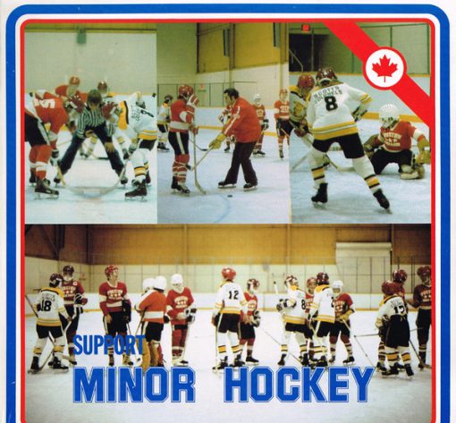 Unknown Artist - Support Minor Hockey (LP, Album) (Mint (M))