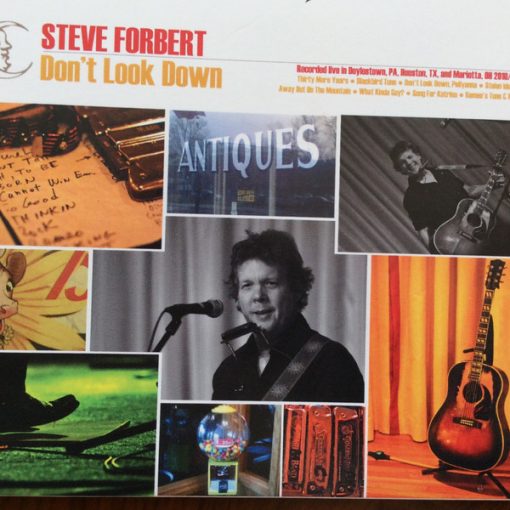 Steve Forbert - Don't Look Down (CD, Dig) (Near Mint (NM or M-))