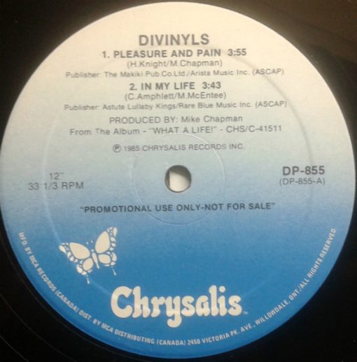 Divinyls - Pleasure And Pain (12", Single, Promo) (Mint (M))