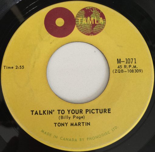 Tony Martin (3) - Talkin' To Your Picture (7", Single) (Very Good Plus (VG+))