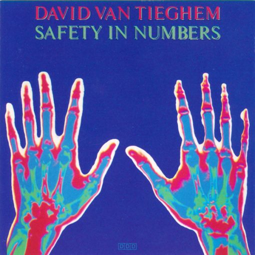 David Van Tieghem - Safety In Numbers (CD, Album) (Near Mint (NM or M-))