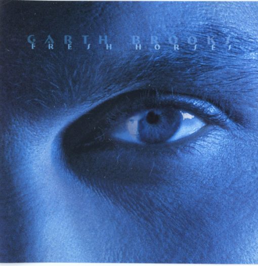 Garth Brooks - Fresh Horses (CD, Album) (Near Mint (NM or M-))