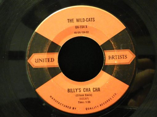 The Wild-Cats - Gazachstahagen (7") (Very Good Plus (VG+))