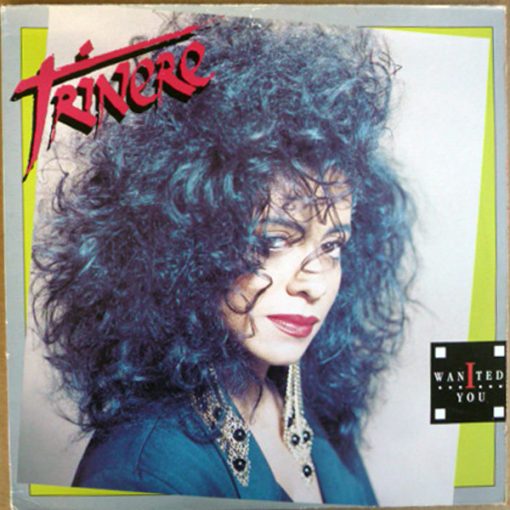 Trinere - I Wanted You (12") (Mint (M))